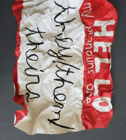 Artwork by Capri Bisom