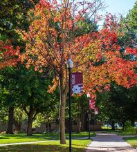 Fall view of Bethel campus