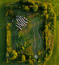 An image from Nate Hofer's exhibit "One and a Half Acres"